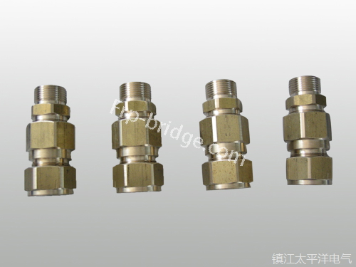 黃(huáng)銅铠裝(zhuang)電纜密(mi)封接頭(tou)